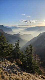 Fotografija s spletne strani Werner na poti