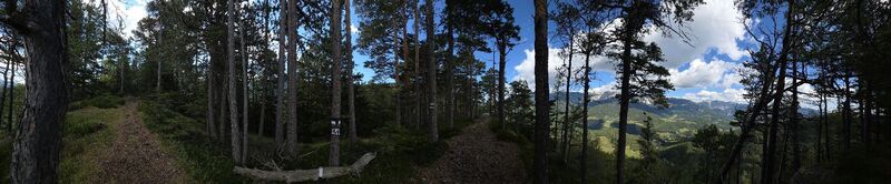 Photo de Michael Kammerer 2 le long du parcours