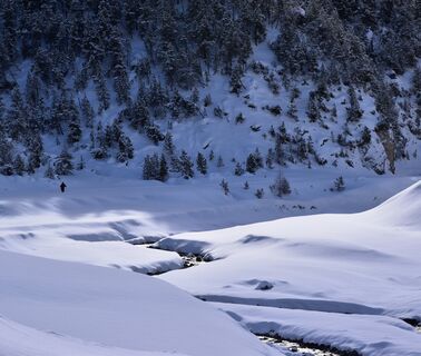 Winterwandern im Val S-charl