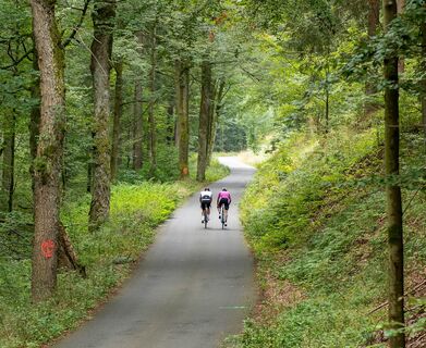 Malerisches Grün: Die Forststraße durch das Kehltal