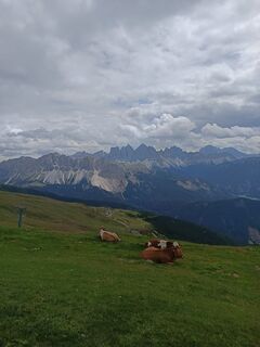 Foto fra Adam Akwen underveis på turen