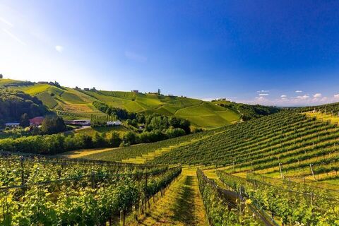 Landschaft Gamlitz