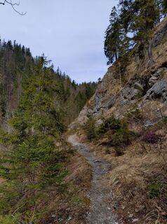 Fotografie de la Lars Vogelbein de-a lungul turului
