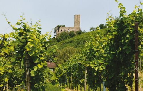 Strahlenburg Schriesheim