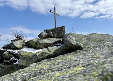 Fotografija s spletne strani Natur_erleben_dg na poti