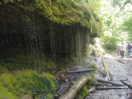 Fotografija s spletne strani Betzenbergfex na poti