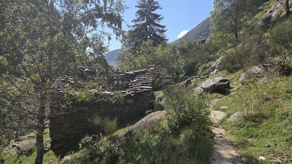 Foto von V Feurstein entlang der Tour