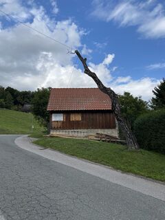 Fotografia z Tyler Lewis na trase