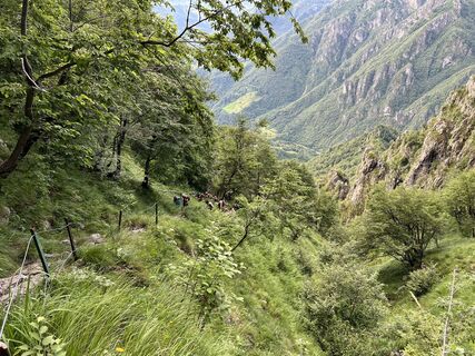 Фото с сайта Natale Maffioletti во время экскурсии