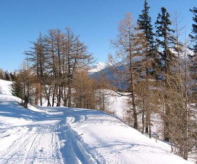 Winterwanderweg Guttet-Albinen