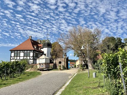 Foto de berg-wanderer a lo largo del recorrido