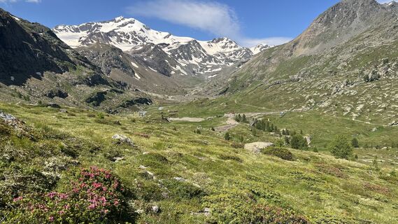 Foto von Pezzotta entlang der Tour