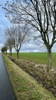 Flur Wolfmannshausen