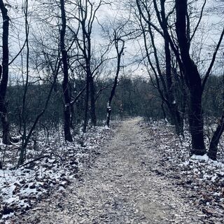 Photo de Bacskai János le long du parcours