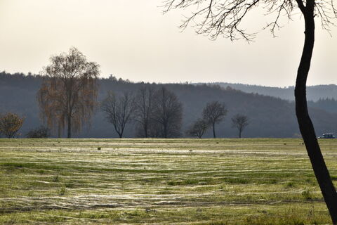 Landschaft entlang des Wanderwegs