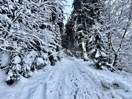 Foto von Les aventures de Ghislain entlang der Tour