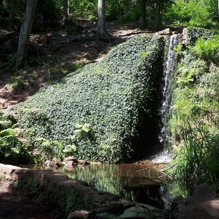 Zemljevid