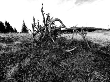 Foto von Thomas Speedy Drescher entlang der Tour