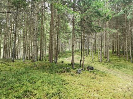 Foto de Michael Leisser a lo largo del recorrido