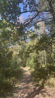 Foto von Anne Stahlschmidt entlang der Tour