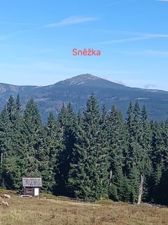 Fotografia z Eva Horká na trase