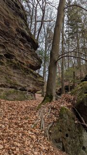 Photo de hochlandfamilie le long du parcours