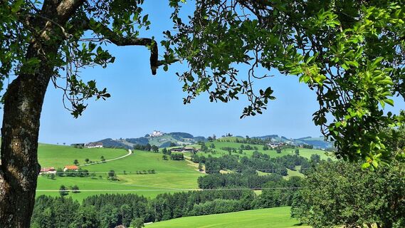 Fotografie z Gerhard Edermayer na trase