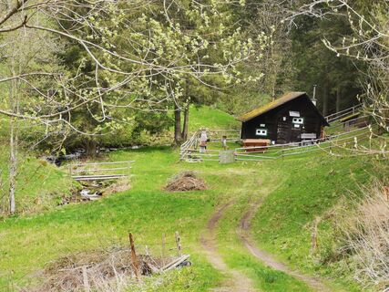 Fotó a Peter Frank 1 honlapról a túra során