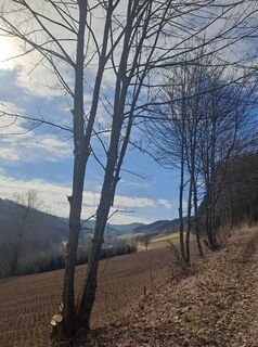 Zdjęcie z Ida Veldman wzdłuż trasy