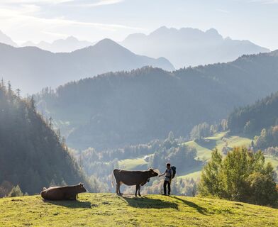 Irgendwo oberhalb von Jesenice, im Hintergrund die Julischen Alpen