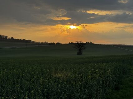 Foto von Schaali entlang der Tour