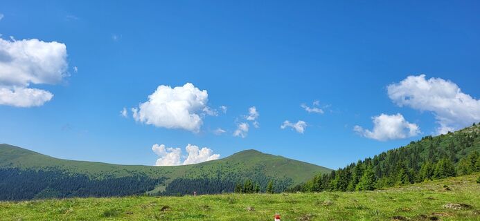 Foto von Sabine Hollerer entlang der Tour