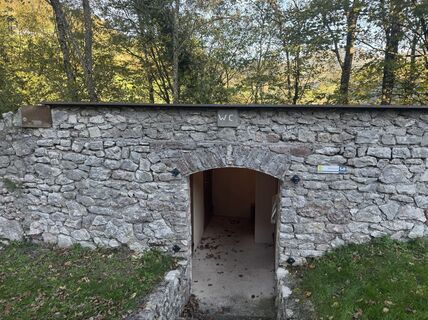 Photo de brosensteiner le long du parcours