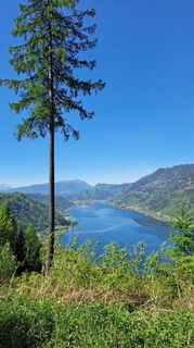 Foto von Ingrid Naschenweng 1 entlang der Tour