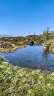 Photo de walrei le long du parcours