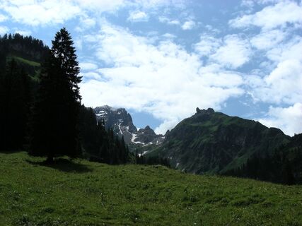 Buchboden nach Marul
