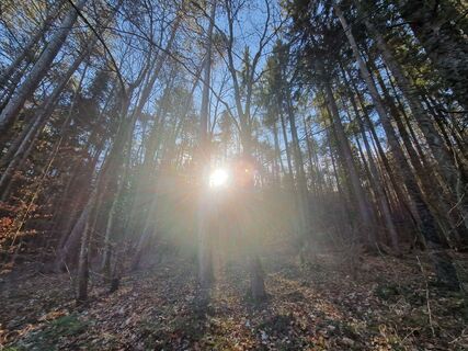 Fotografie de la Claudia Maurer de-a lungul turului