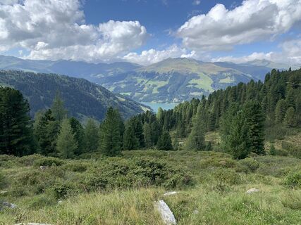Fotó a Koen De Wit honlapról a túra során