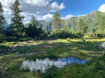 Moor-Landschaft auf einem Plateau, Richtung Reedsee