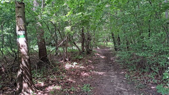 am Waldweg