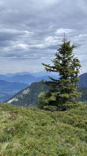 Photo de Mountain Cat ? ⛰️ le long du parcours