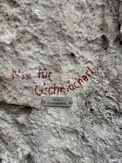 Photo de brosensteiner le long du parcours