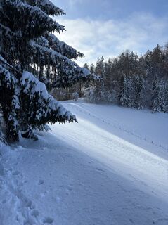 Fotografia z Reinhard Frewein na trase