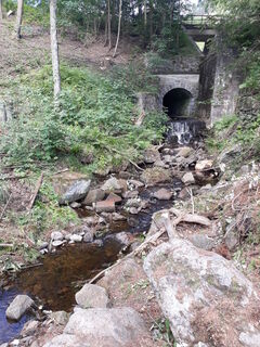 Braunes Wasser