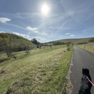Photo de Steffen Kiesel le long du parcours