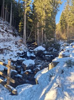 Fotografie de la Gordon Guede de-a lungul turului
