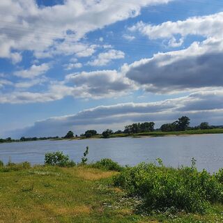 Elbelandschaft bei Ferchland im Jerichower Land
