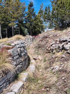 Photo de Lorenzo Martinelli le long du parcours