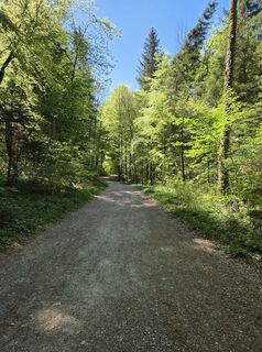 Foto von Nicole Bachmann entlang der Tour