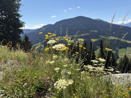 Fotografija s spletne strani Ines Köhler na poti